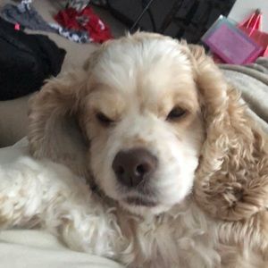 Meet your Posher, Maddy